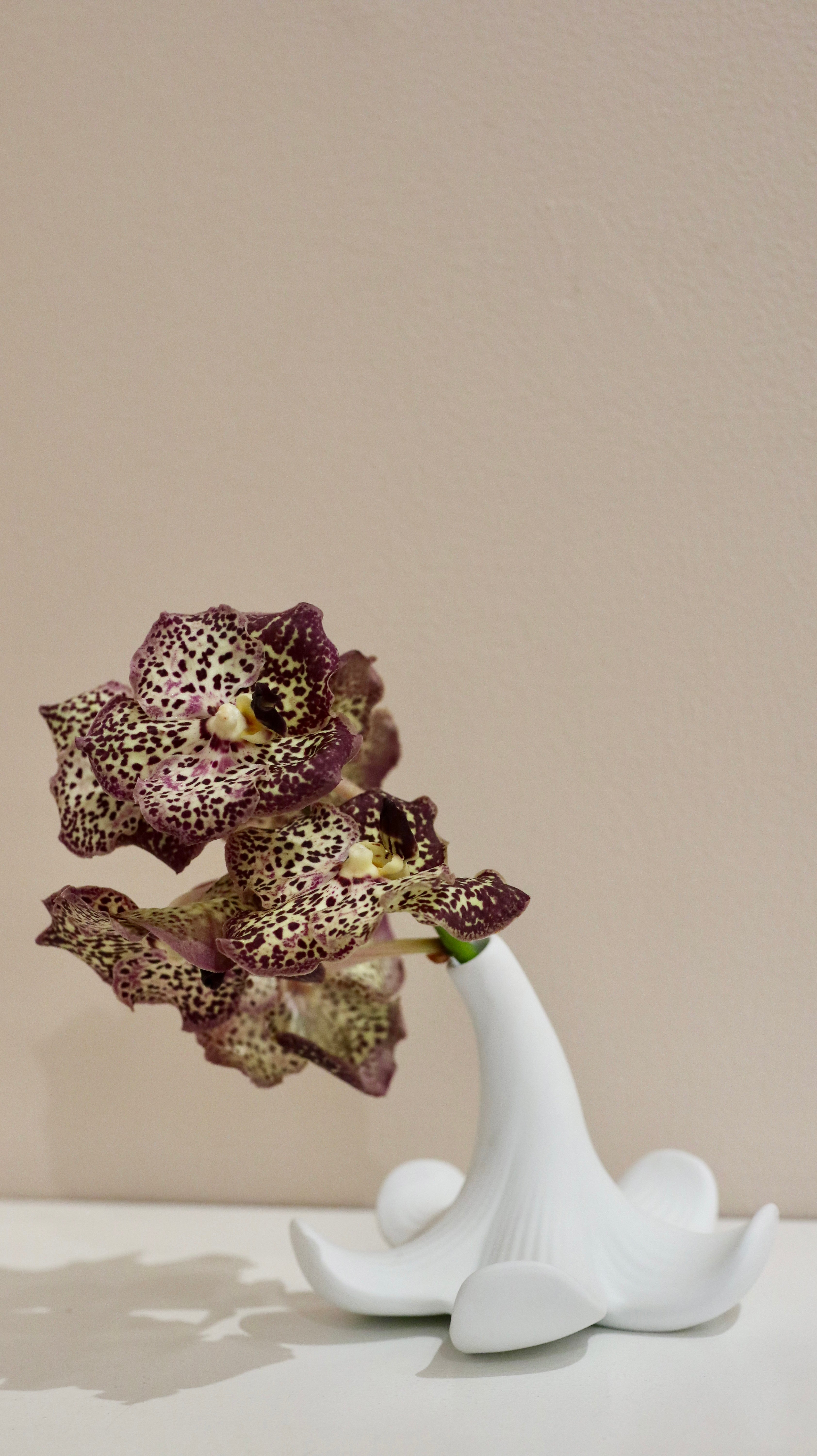 Arita: S&B Lily Flower Vase White