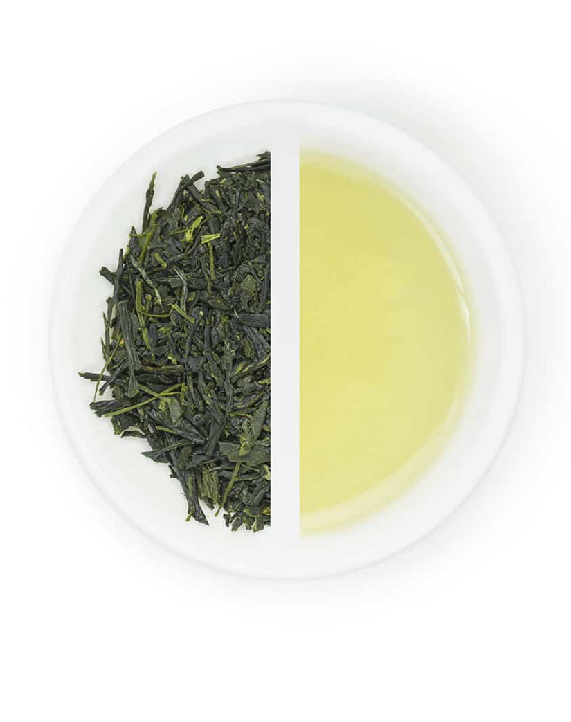 Sencha Midori