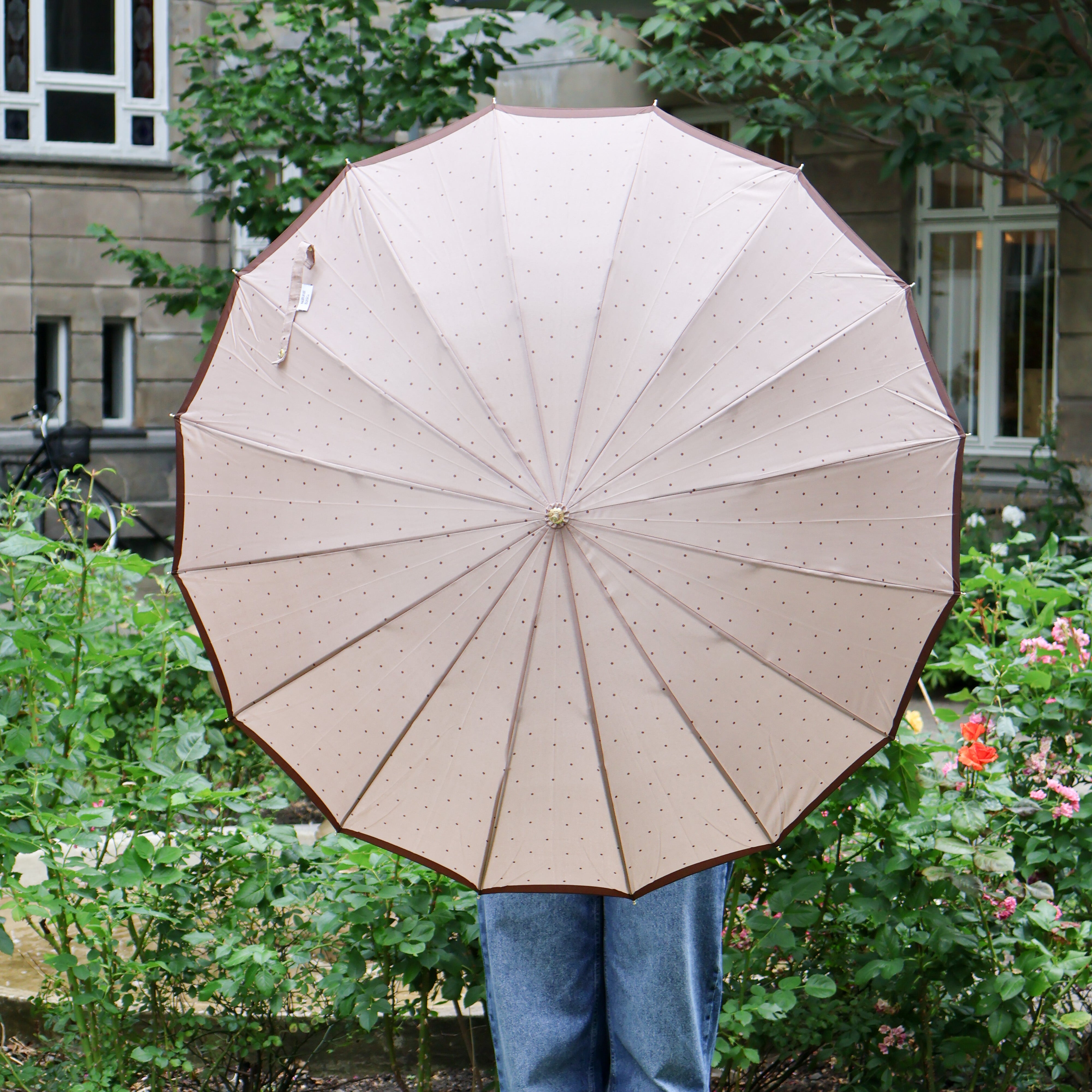 Polka dot umbrella - Brown or black