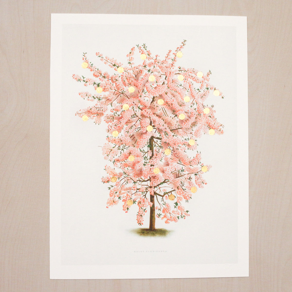 Kunsttryk / Gold Dots Pink Tree Paper