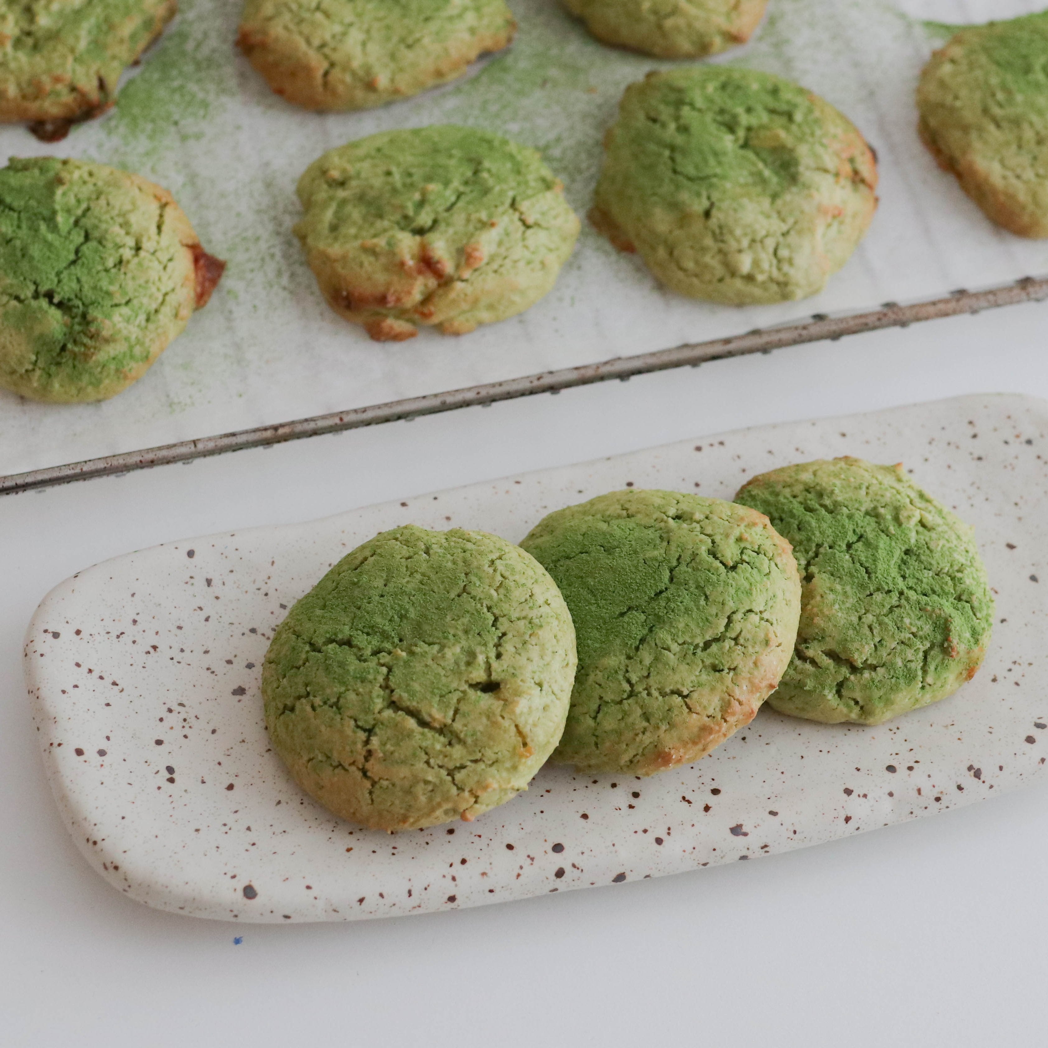 Aflangt fad i creme med brune nister - Lang