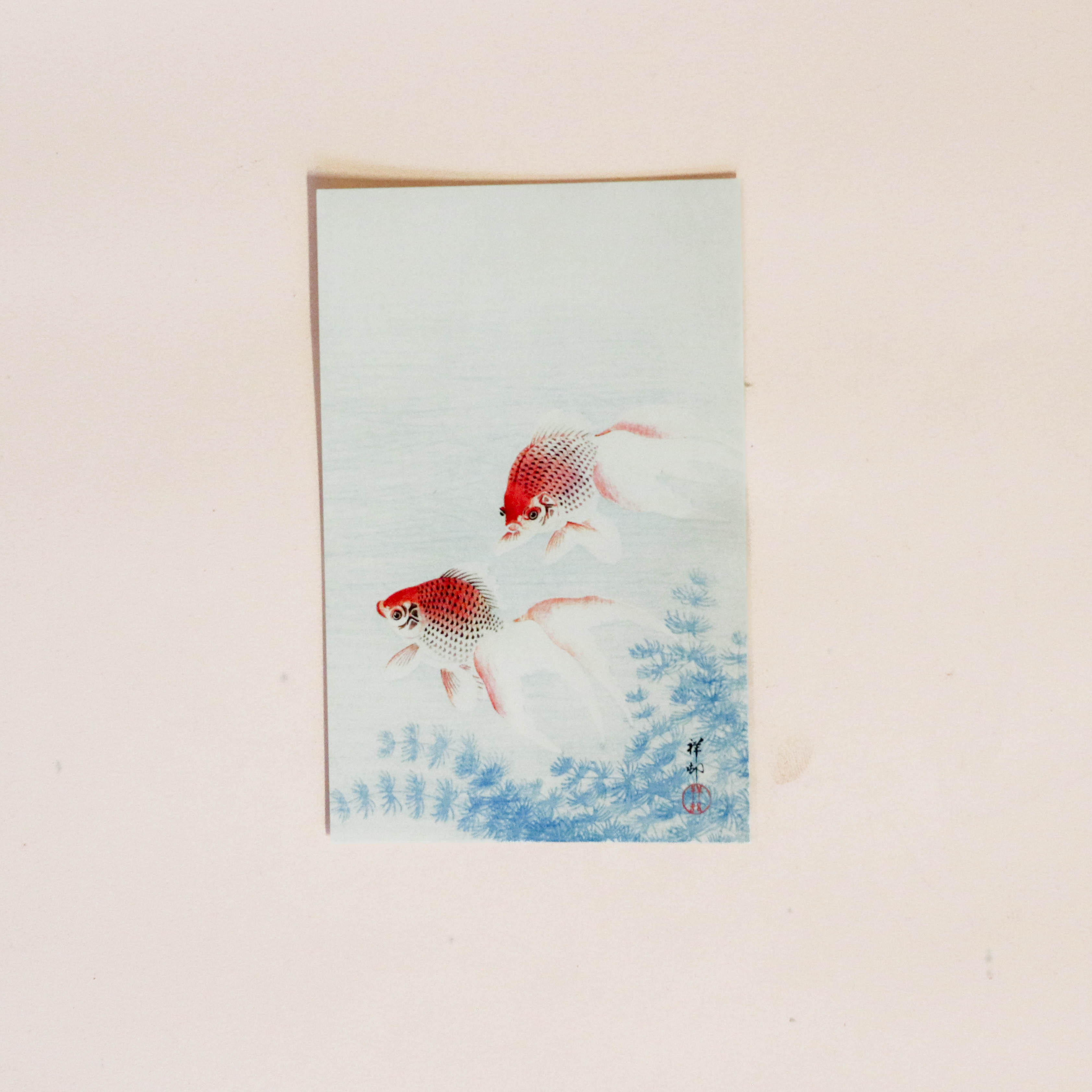 Postcard with goldfish