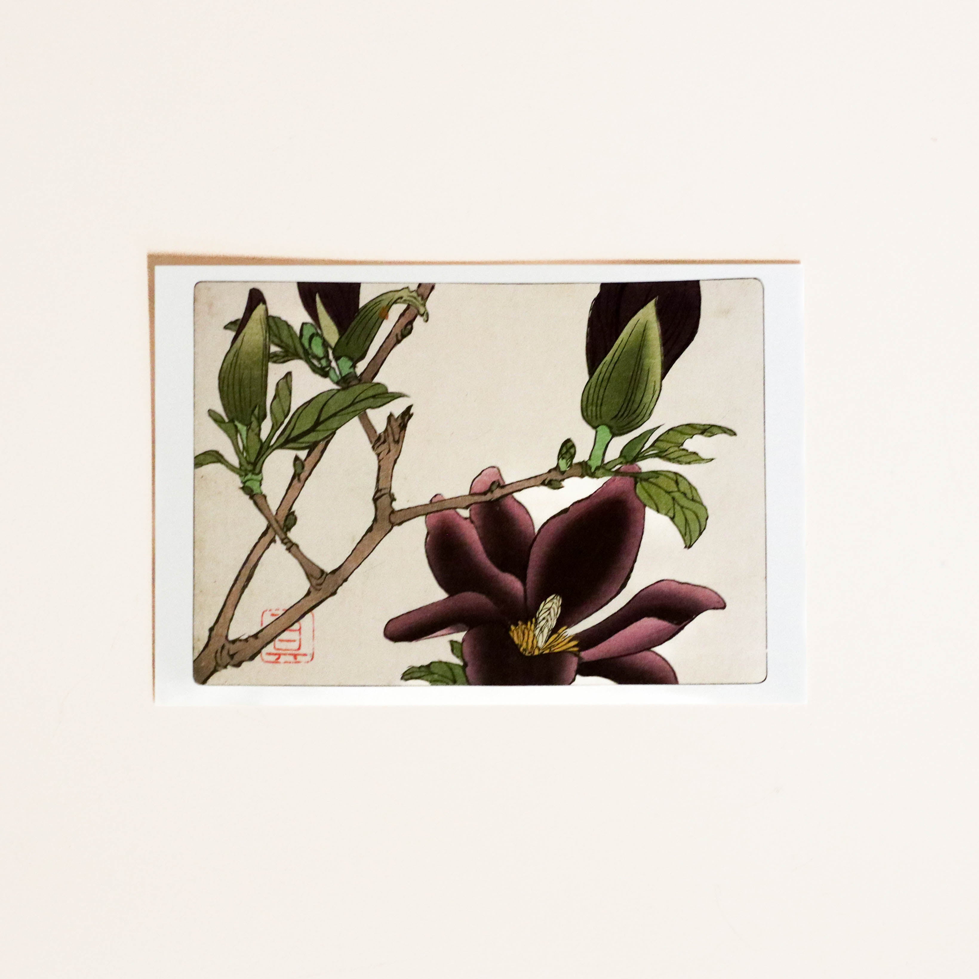 Kort med lilla blomster