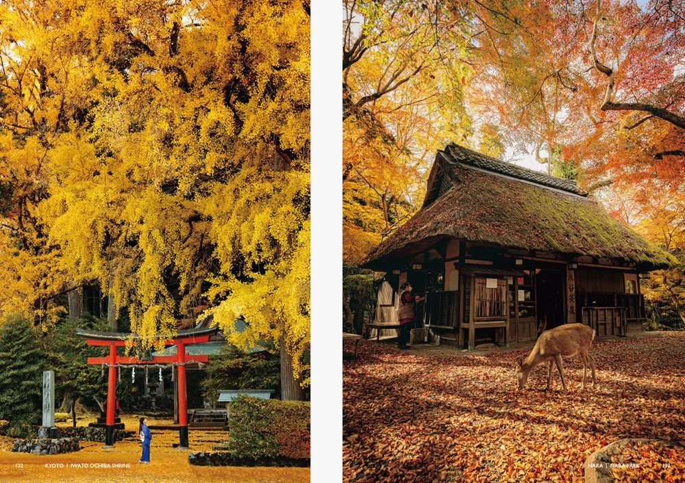 Coffee table book - Japanism