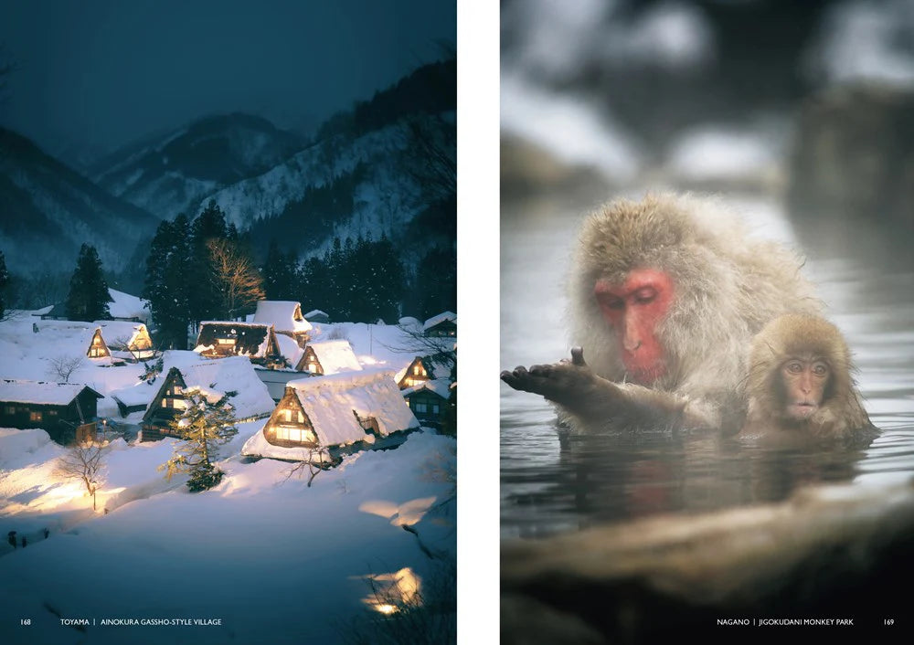 Coffee table book - Japanism