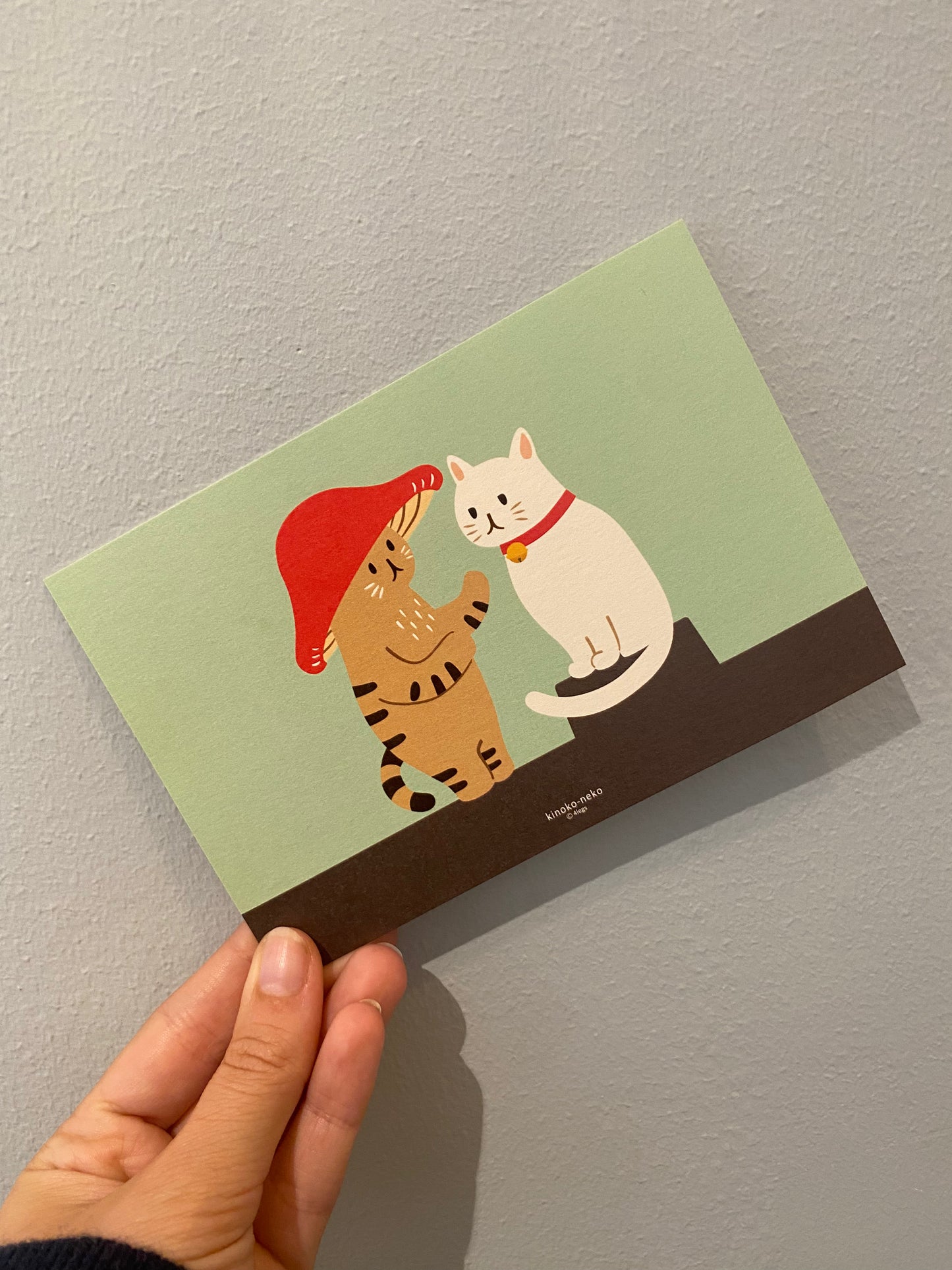 Kort med brun og hvid kat og grøn baggrund
