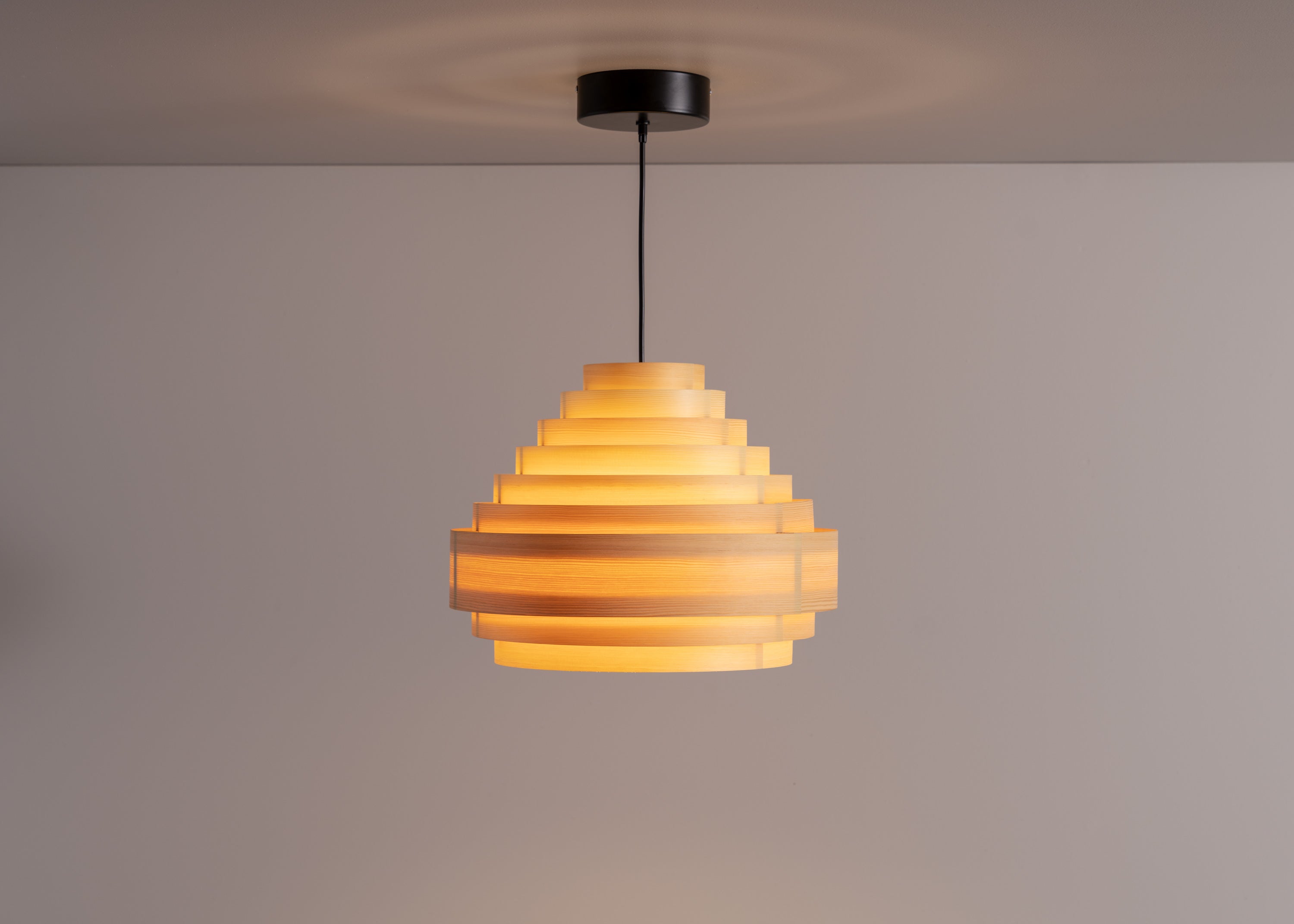 Vaarnii - 1001 Hans Pendant 38