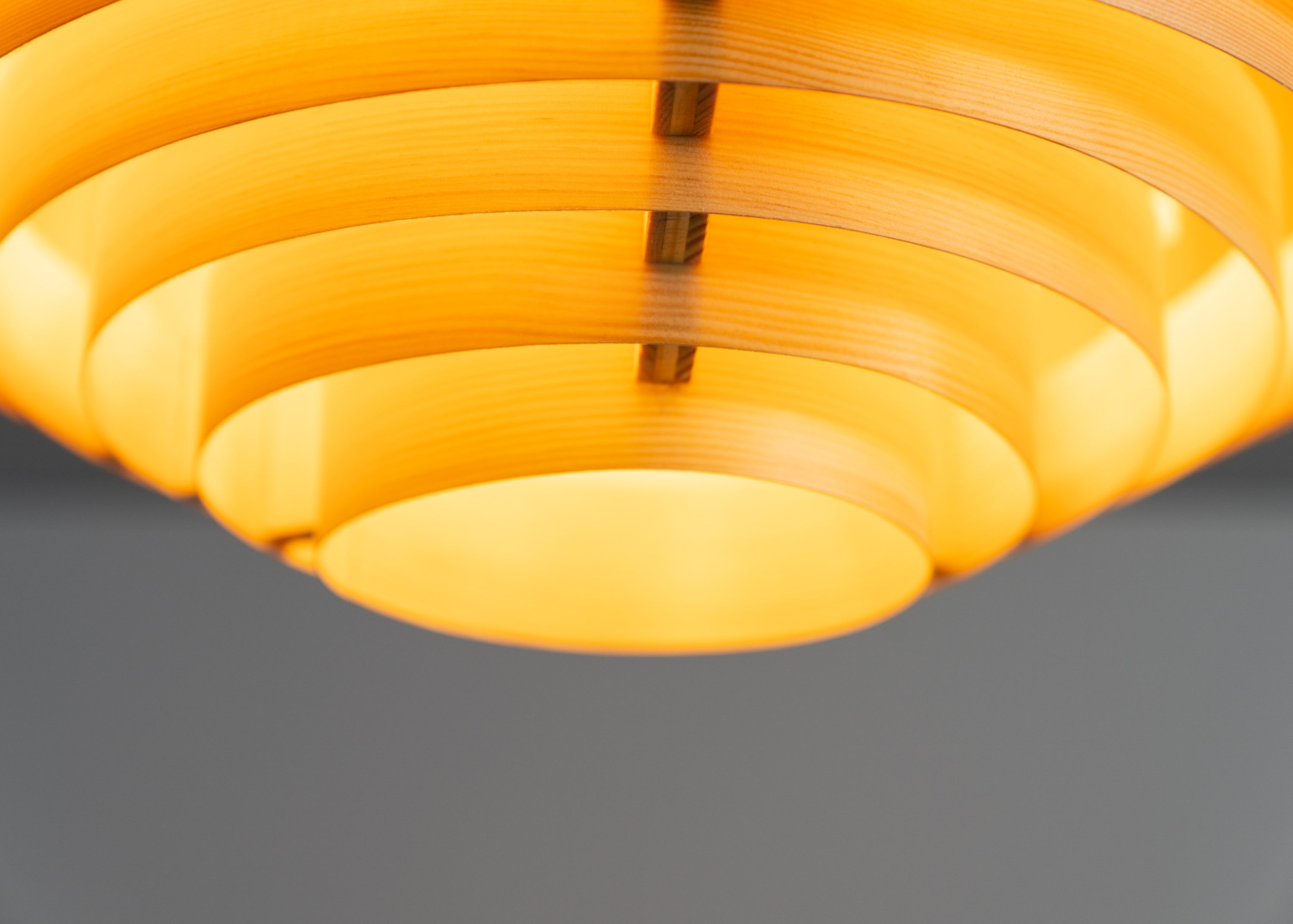 Vaarnii - 1005 Hans Ceiling Light