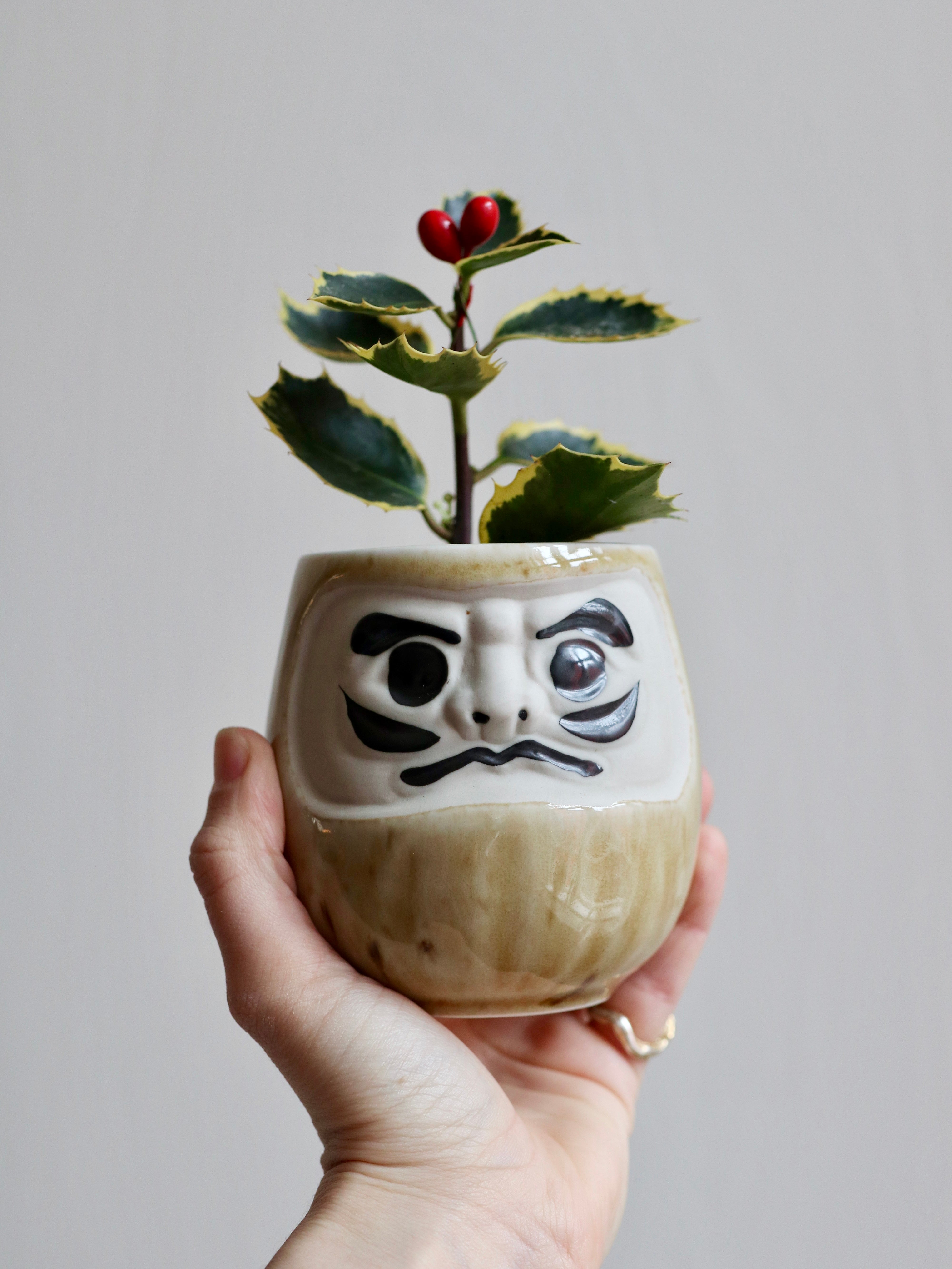 Daruma kop beige