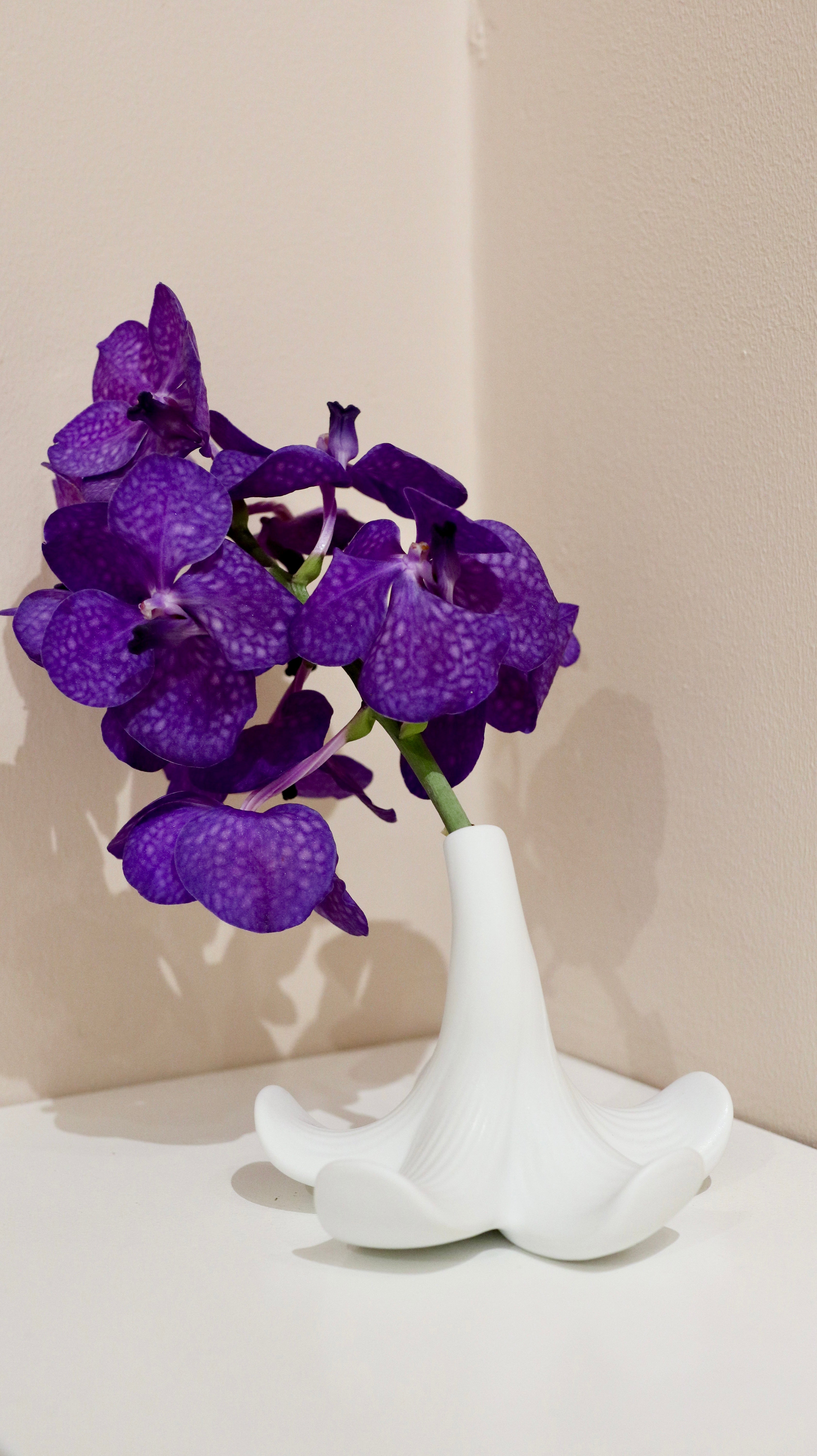 Arita: S&B Lily Flower Vase White