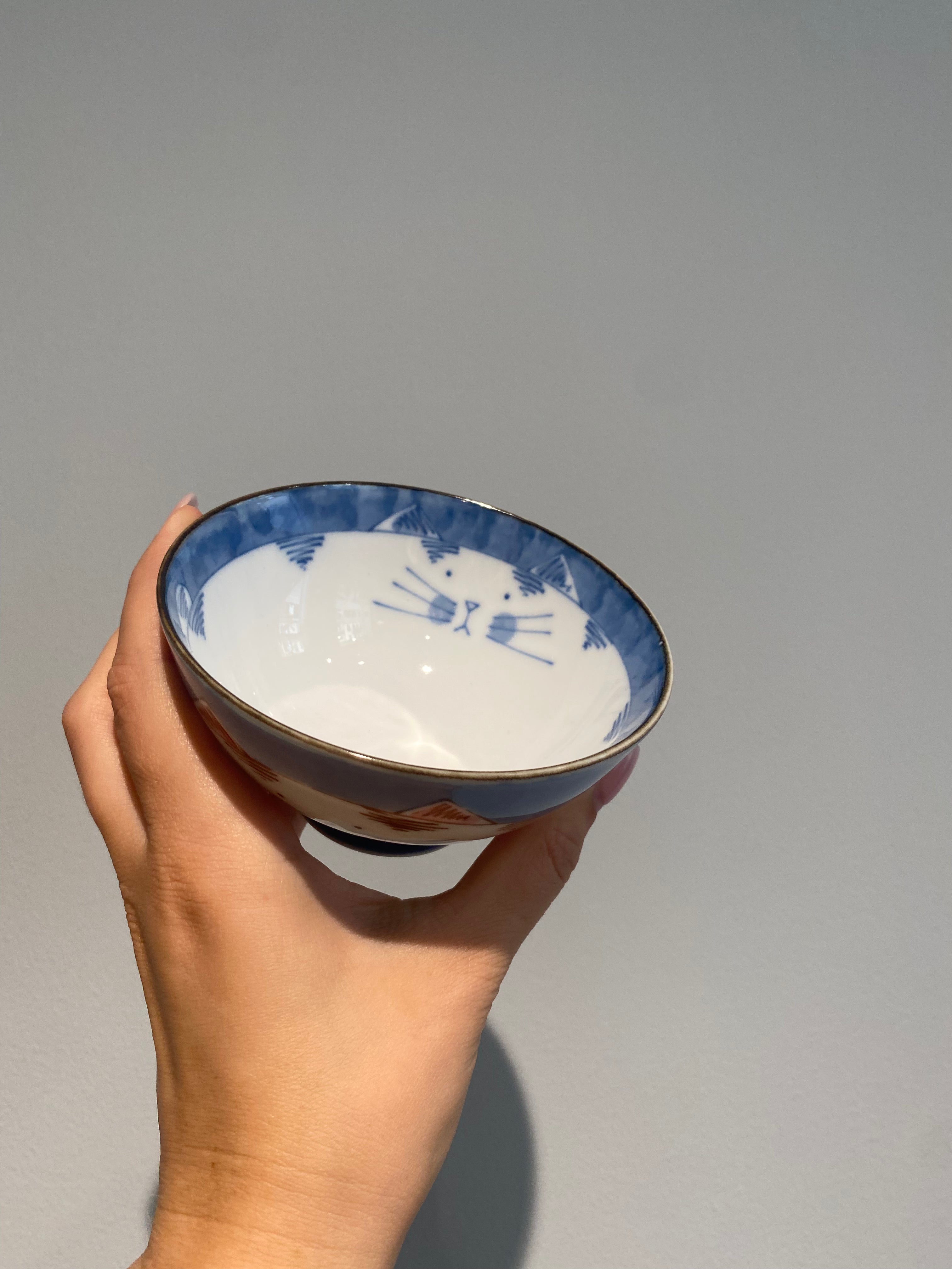 Cat bowls with a cat motif on the outside and inside