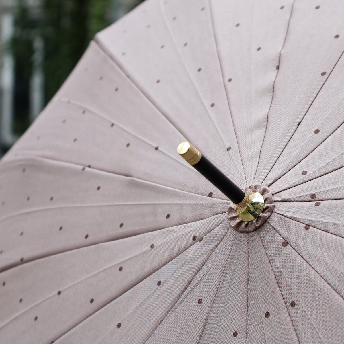 Polka dot umbrella - Brown or black