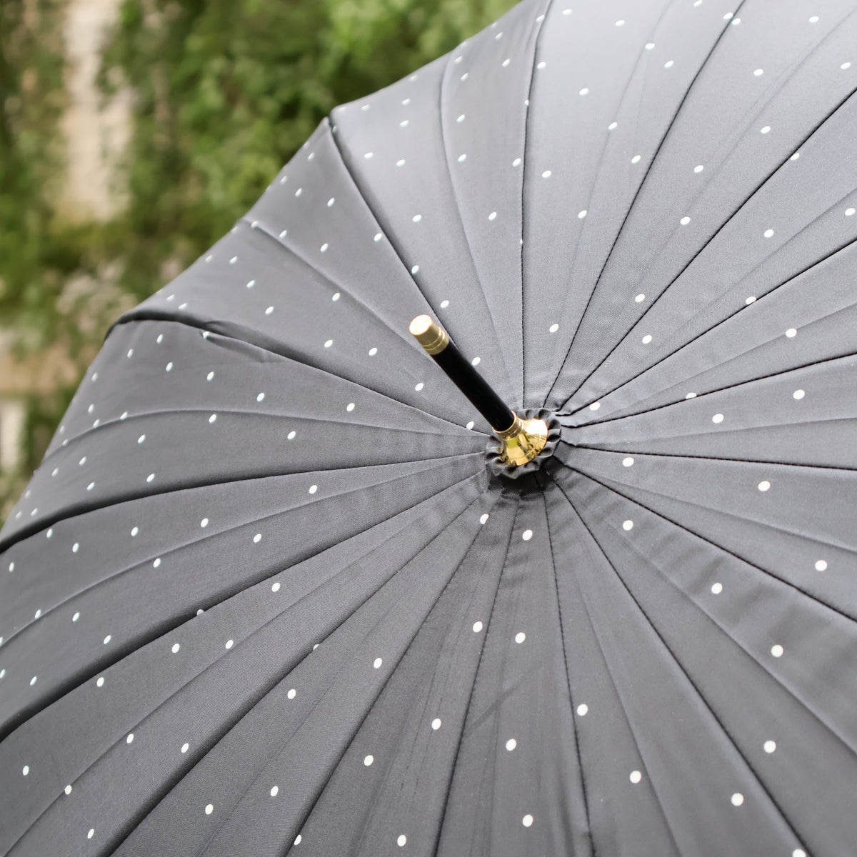 Polka dot umbrella - Brown or black