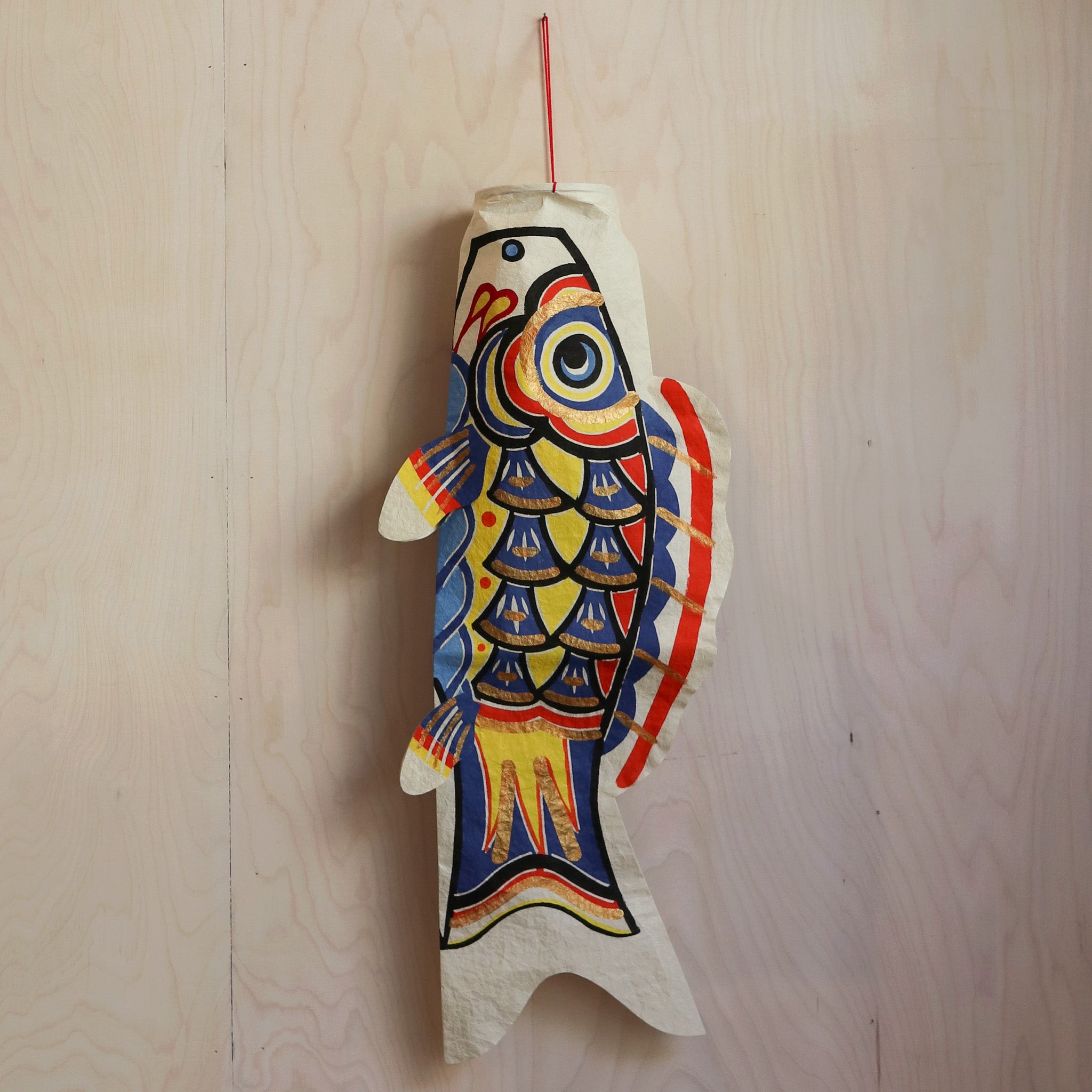 Big koi fish blue