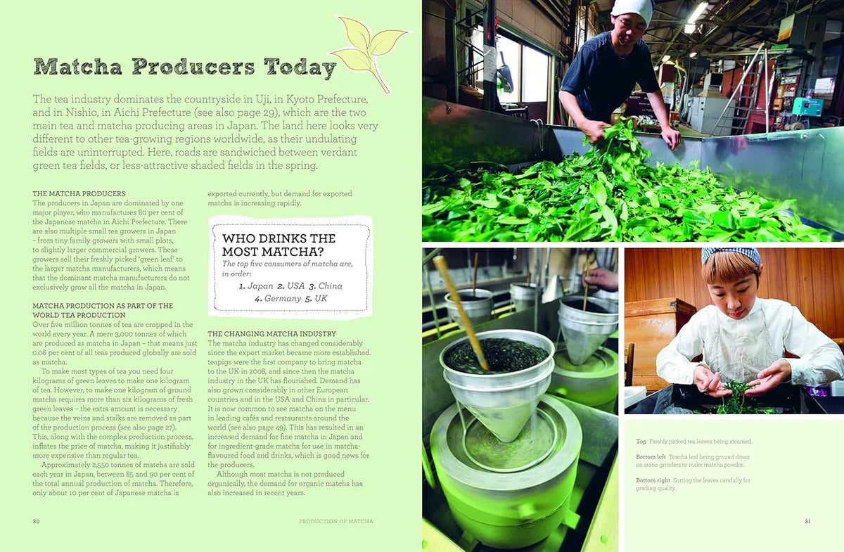 The Book of Matcha