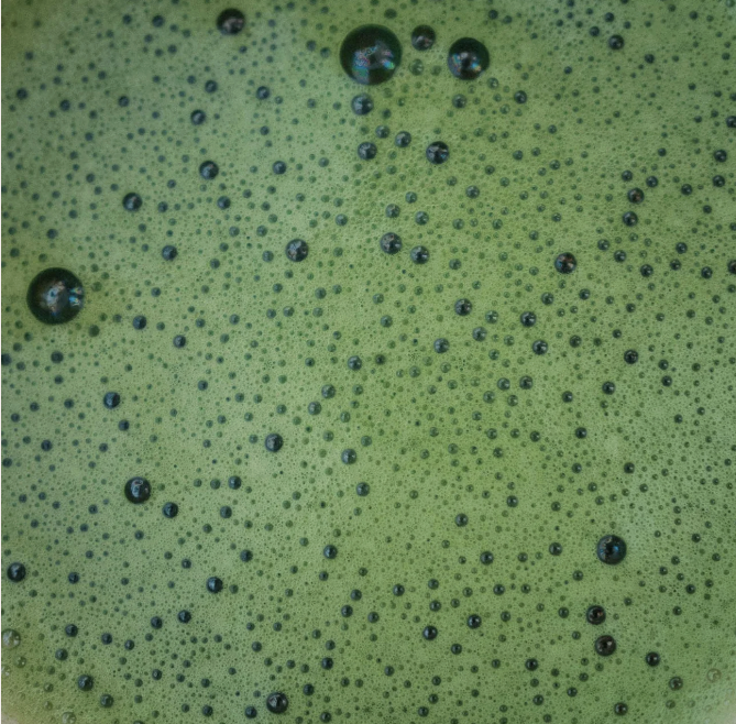 Martinys - matcha starter kit