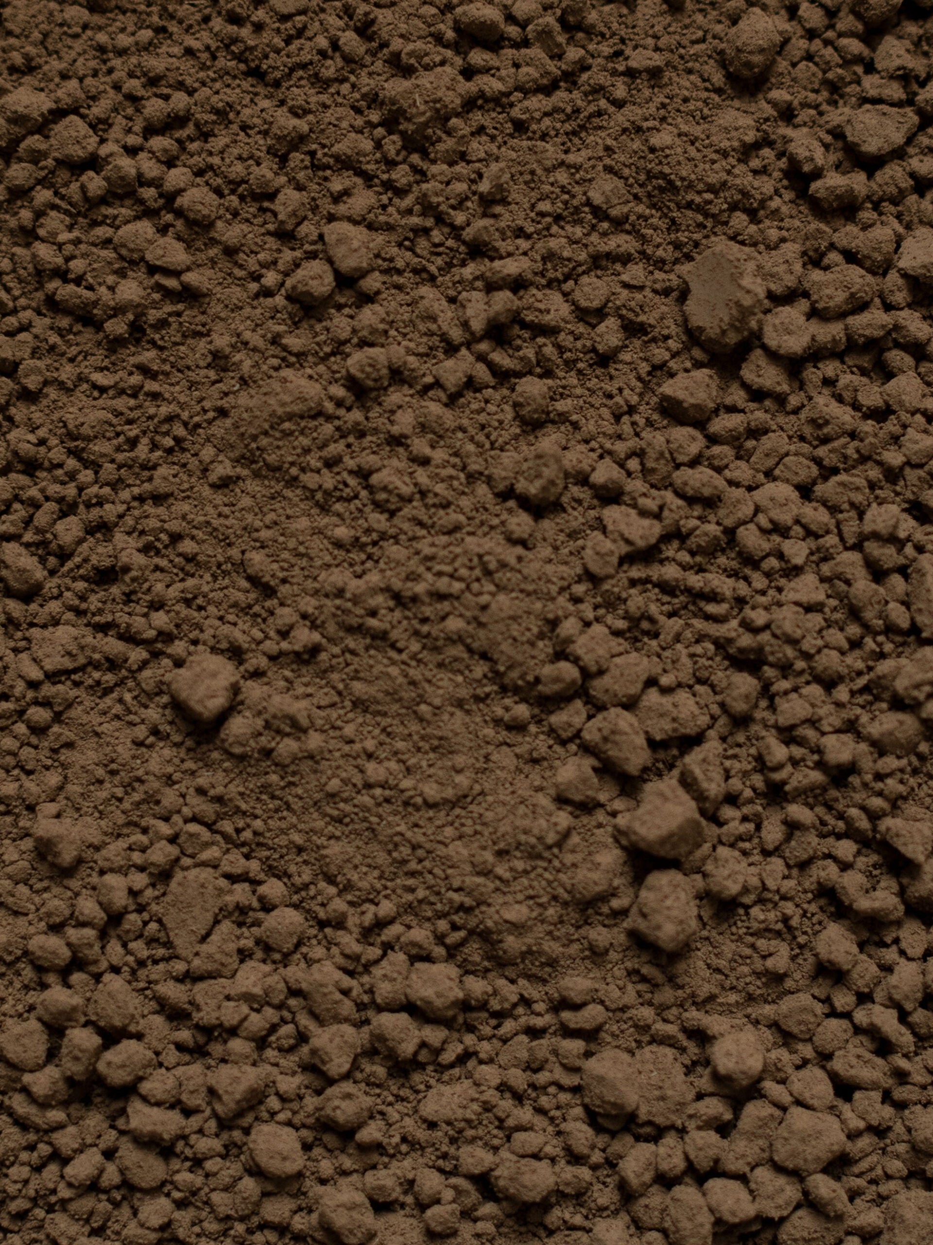 Martinys Økologisk Hojicha 30g