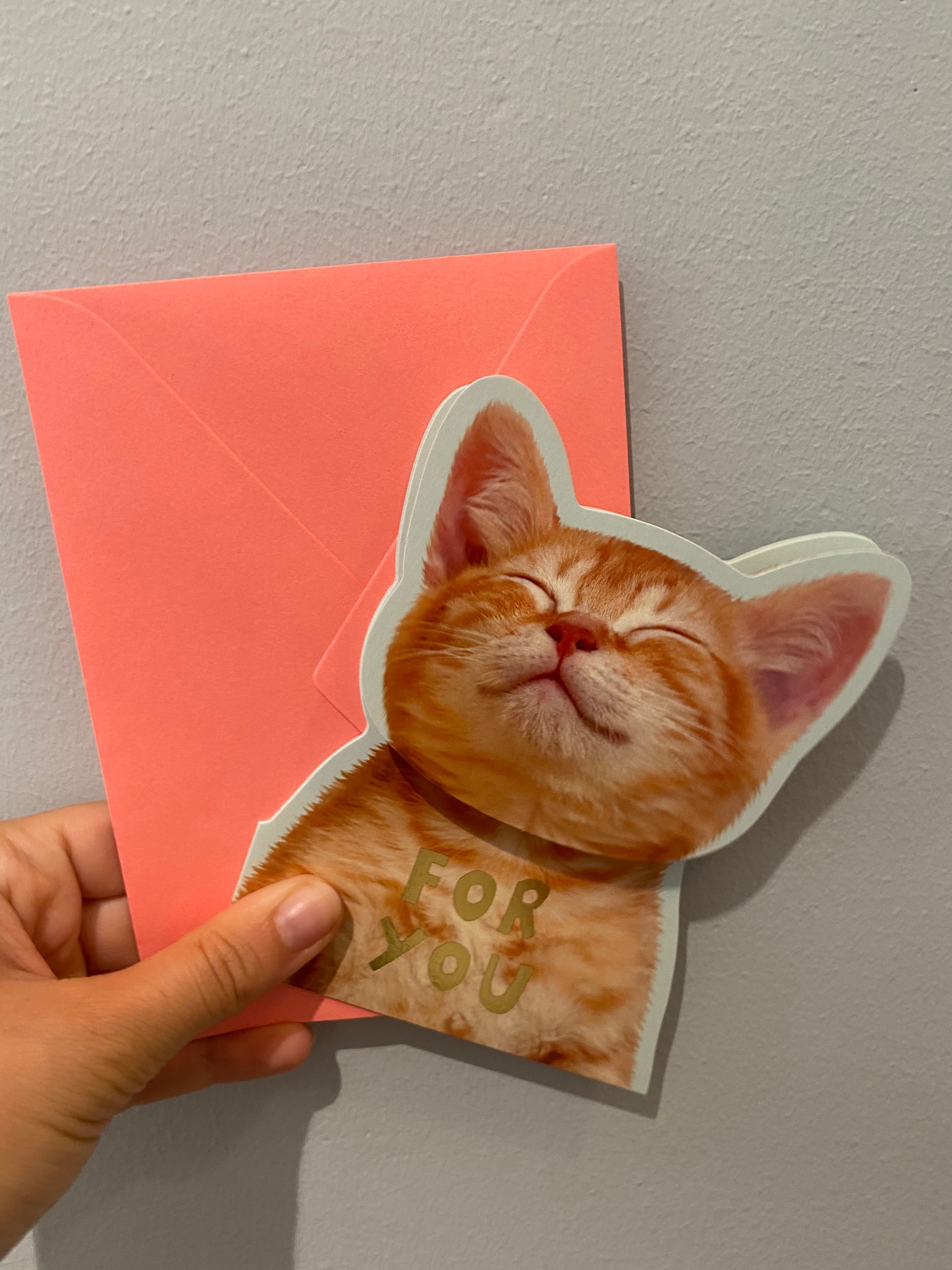 Pop-up card with cat "for you"