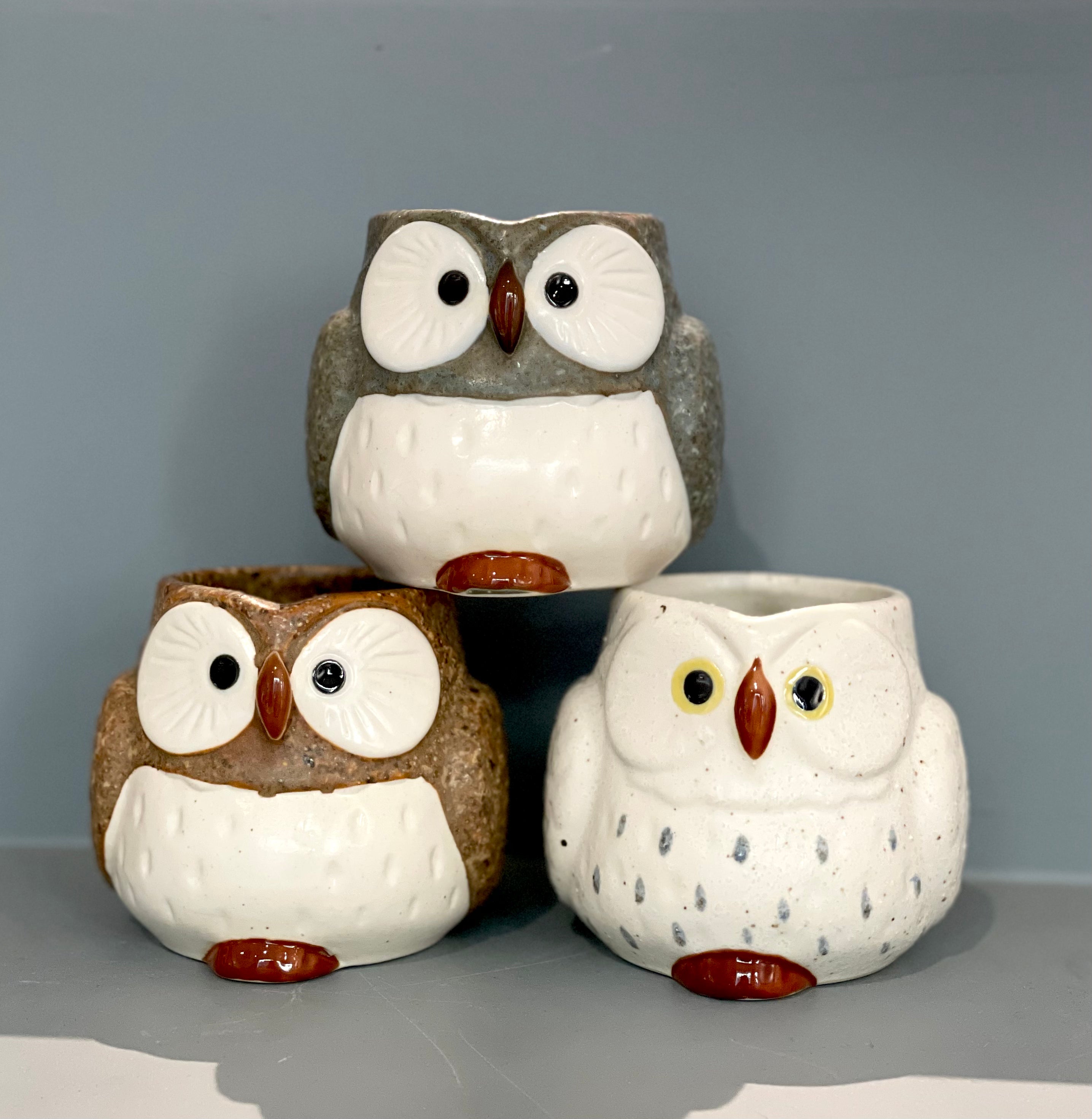 Owl cup - Grey
