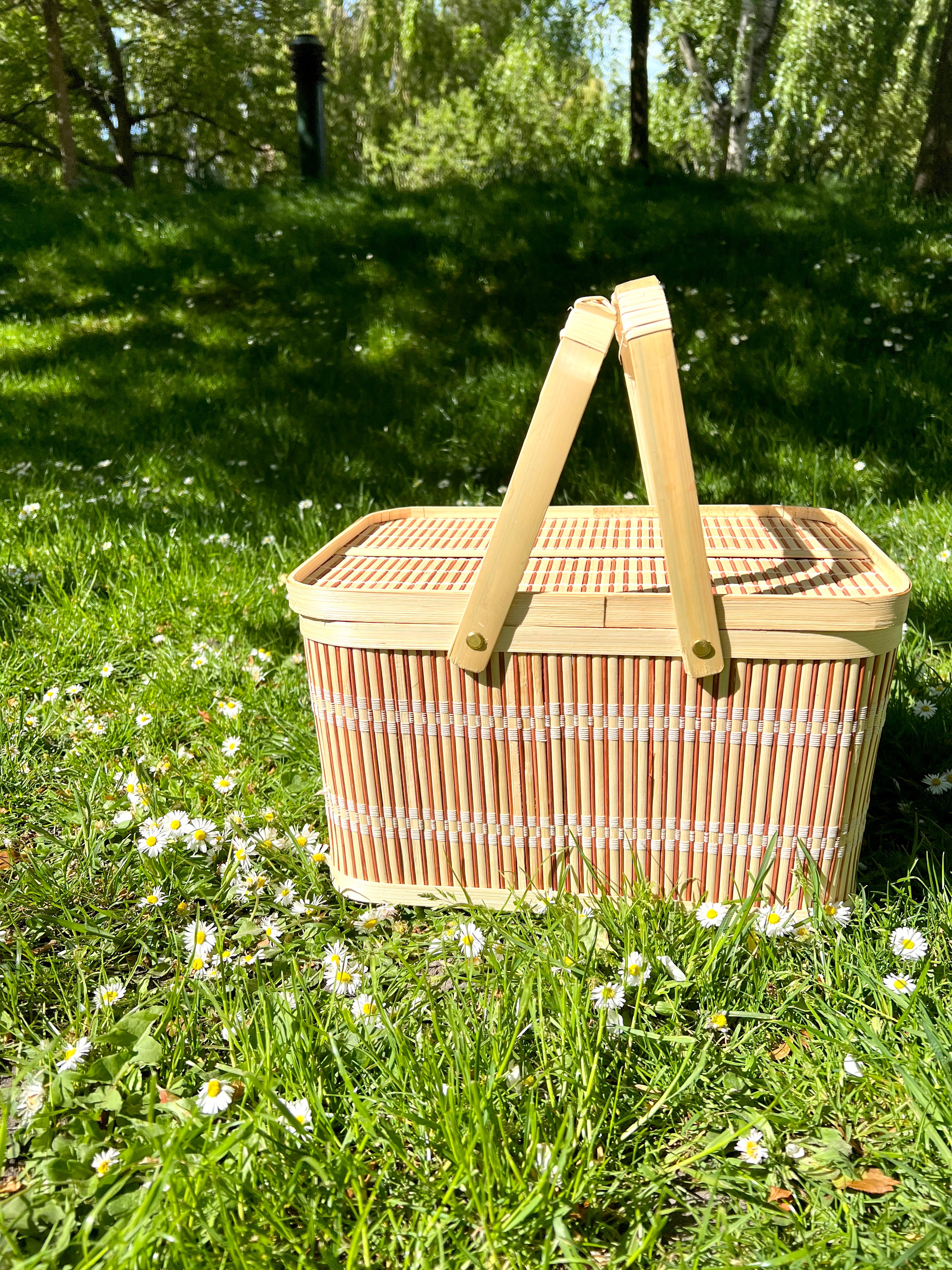 Bamboo basket with handle