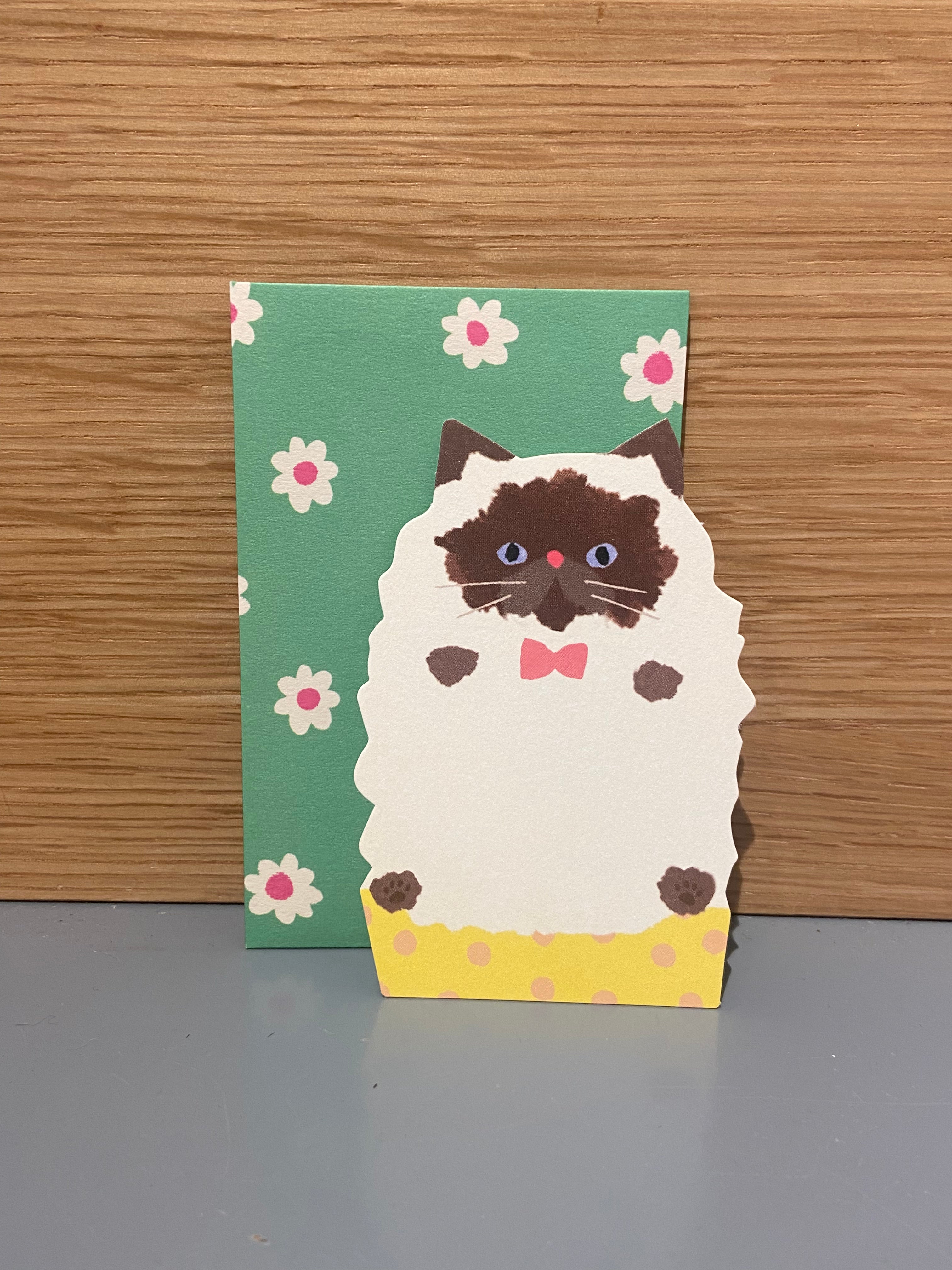 Set of 5 small cards + 5 green envelopes, white cat