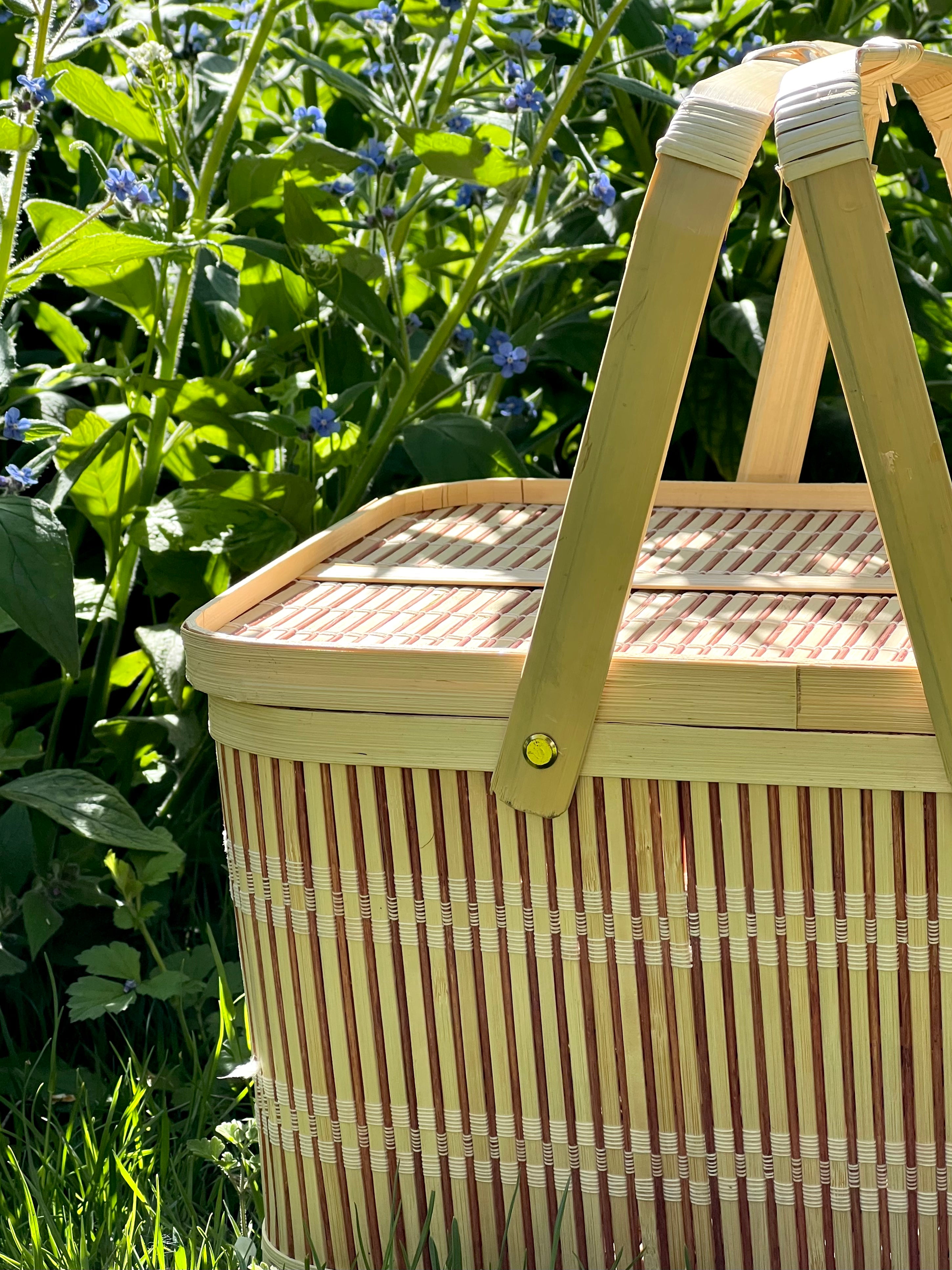 Bamboo basket with handle