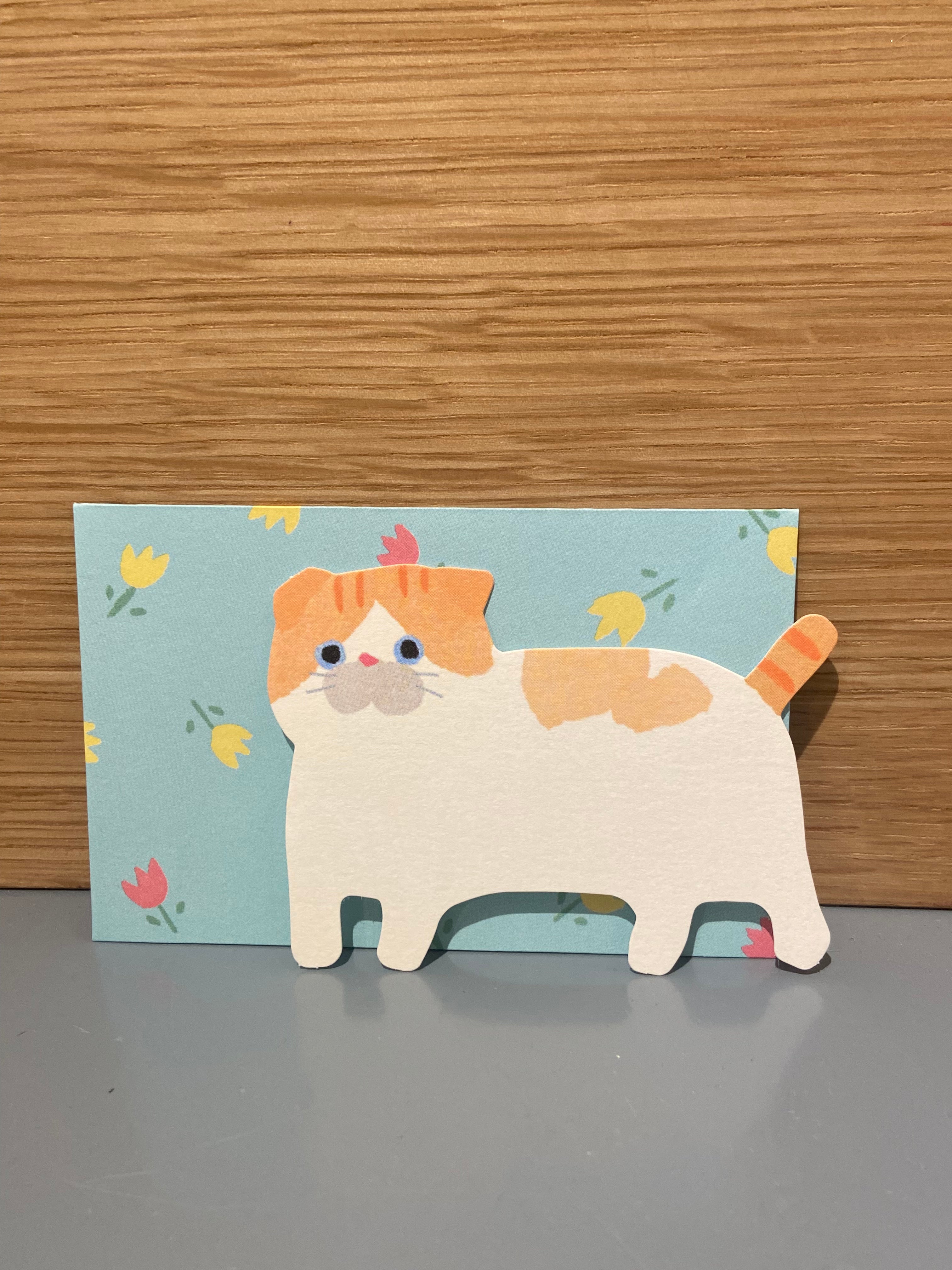 Set of 5 small cards + 5 blue envelopes, white cat