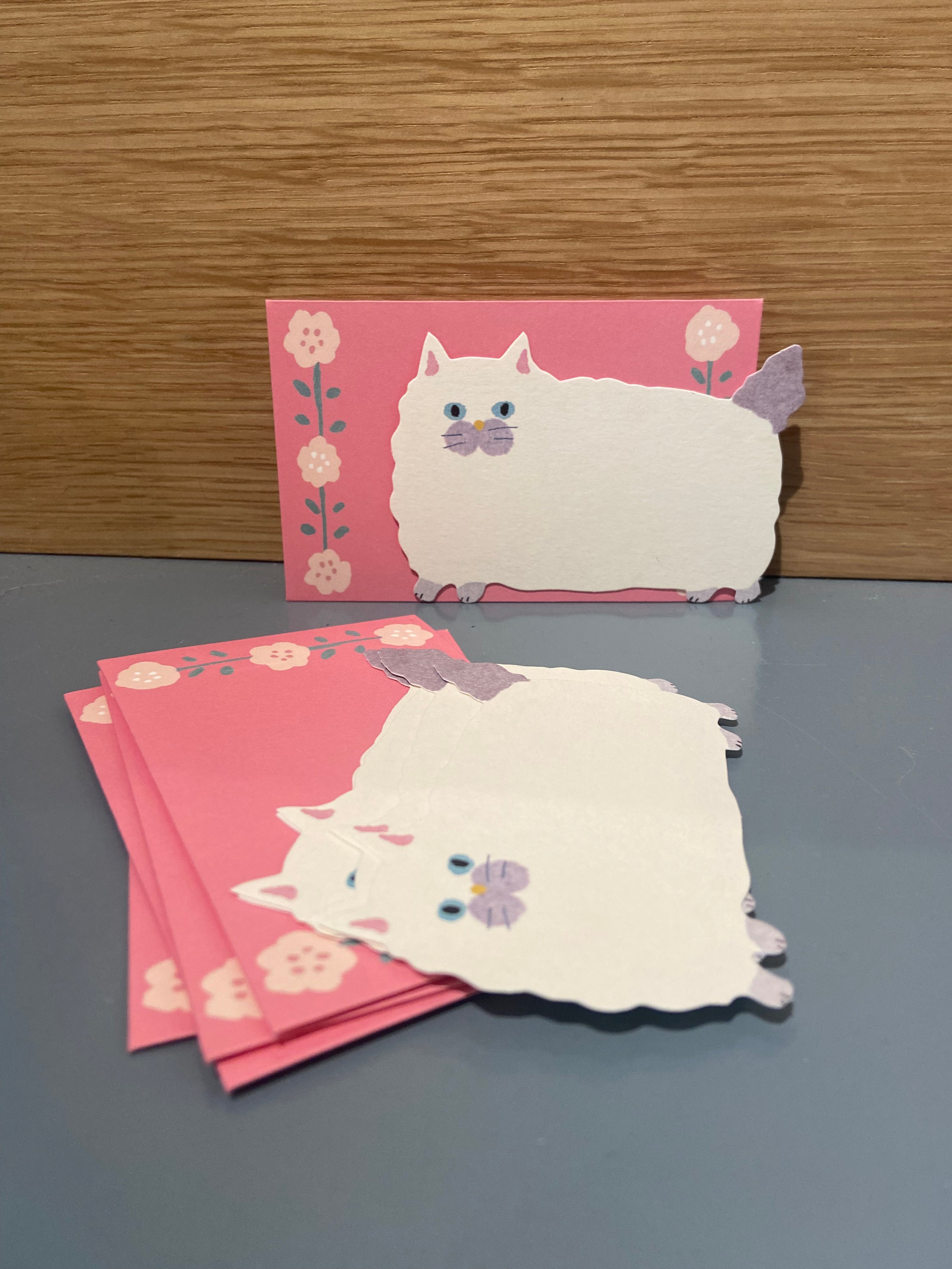 Small card + pink envelope, white cat