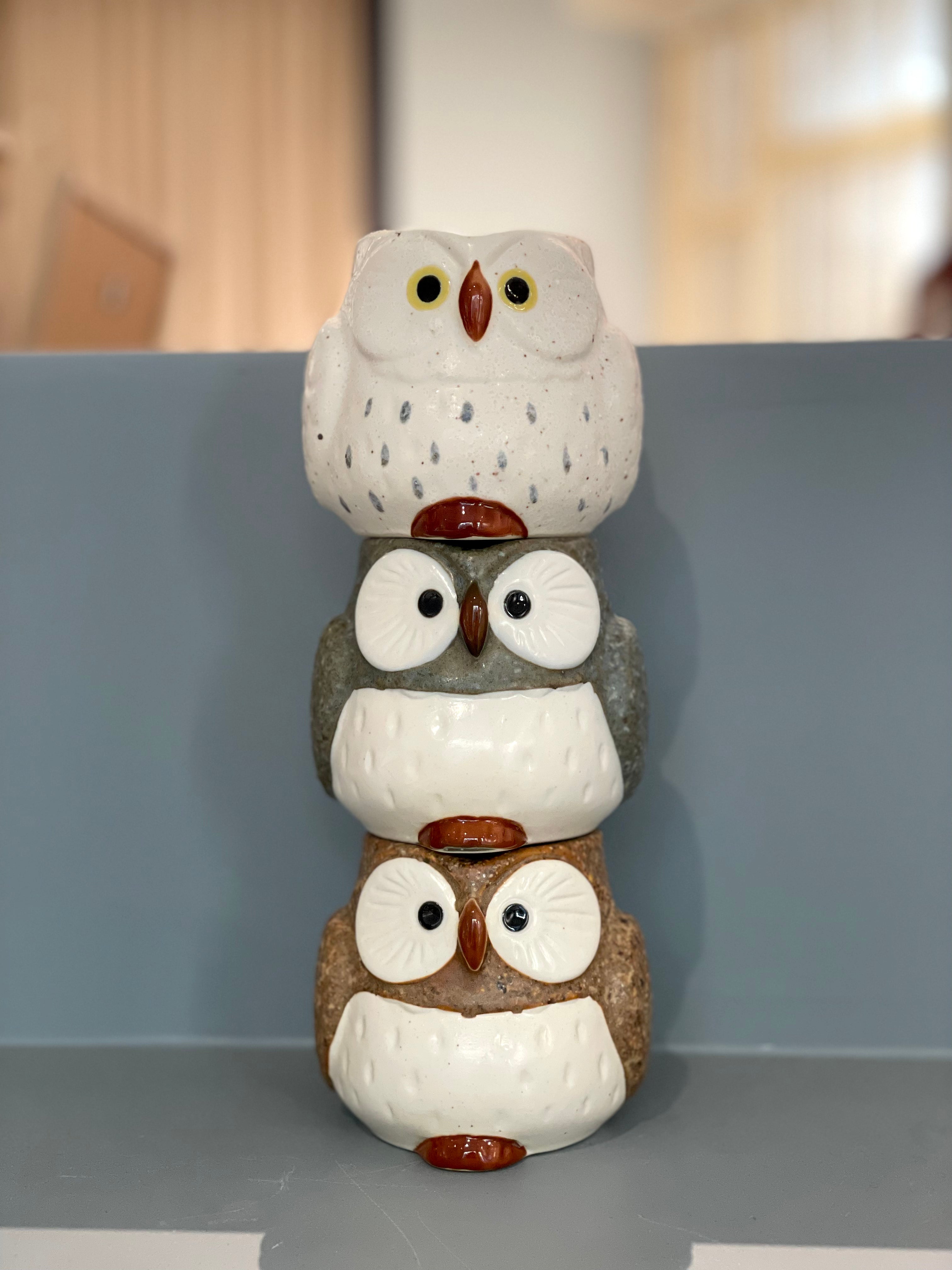Owl Cup - White