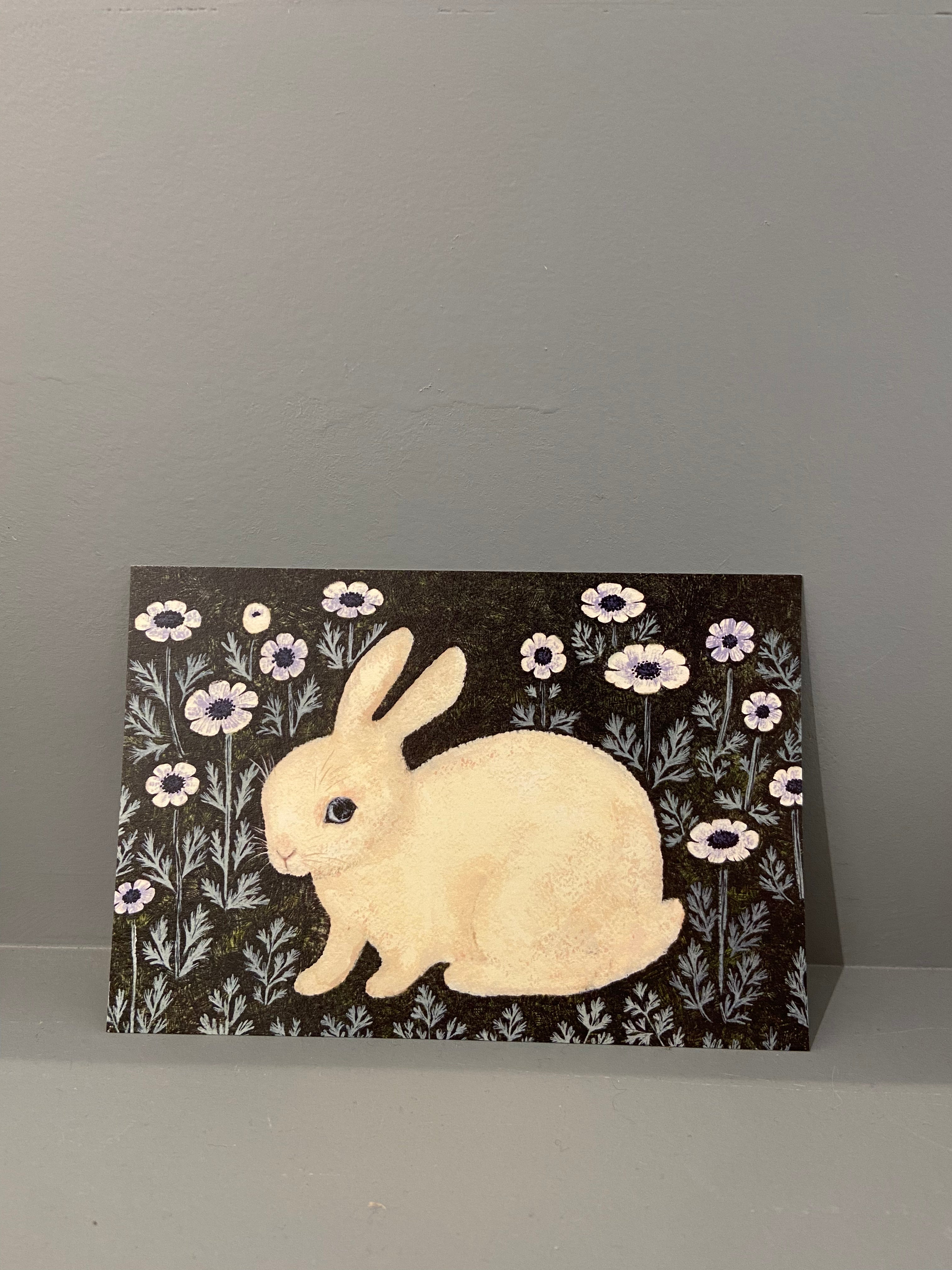 Postcard, white rabbit
