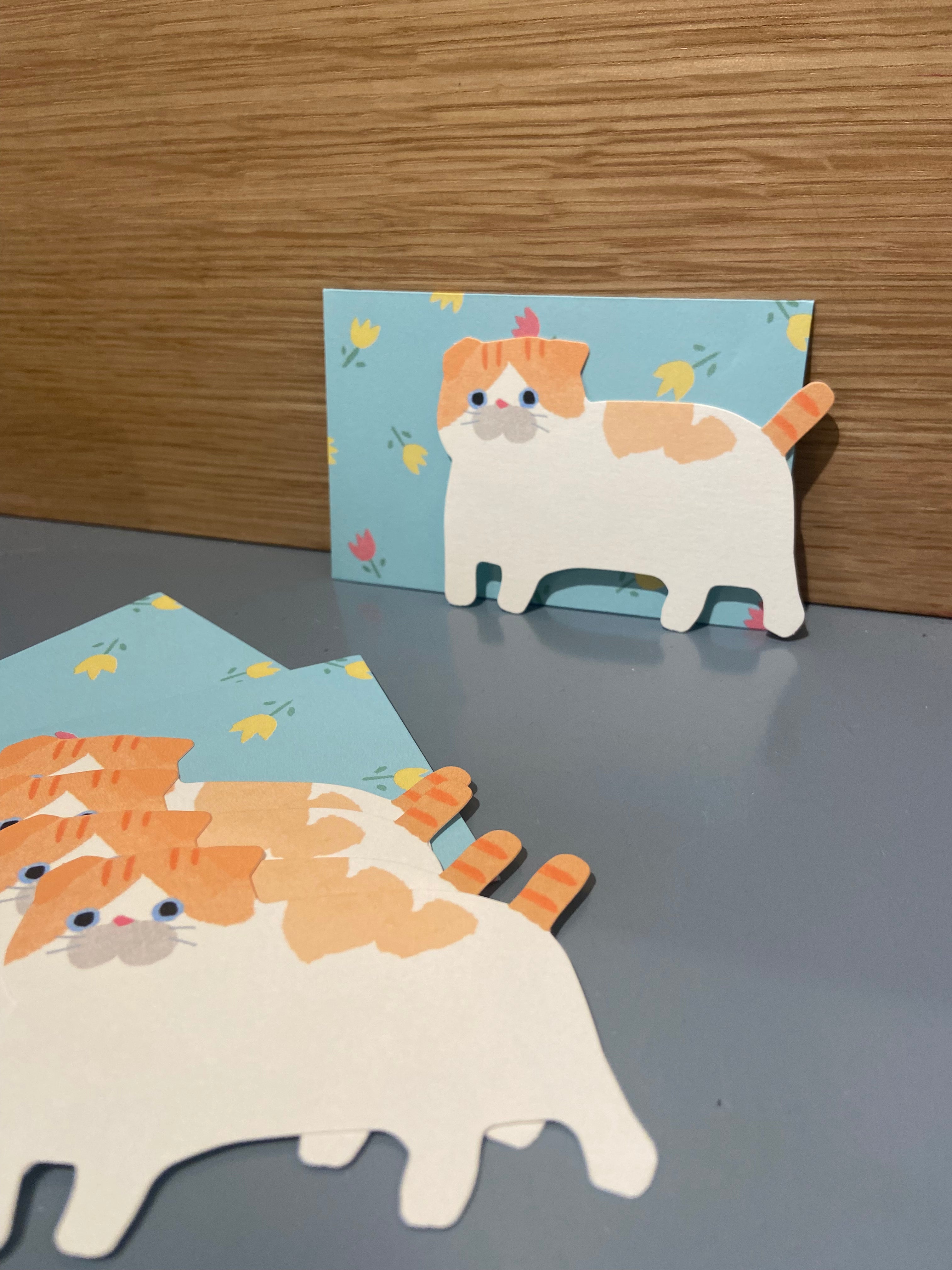 Set of 5 small cards + 5 blue envelopes, white cat