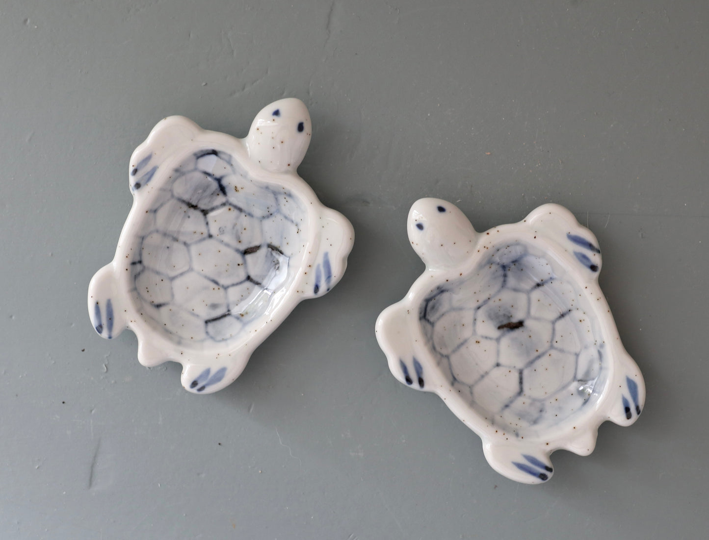 Sojaskål: skildpadde